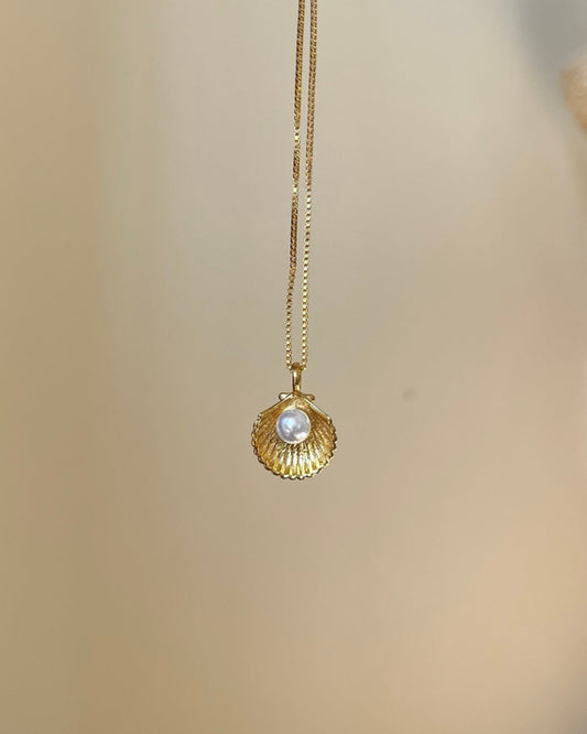 Sea Shell Pendant