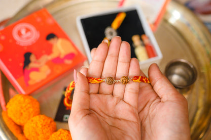 Double Rudraksha Rakhi