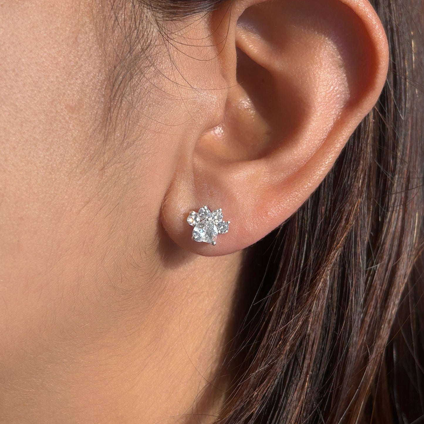 cat paw studs