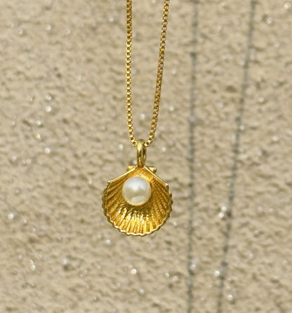Sea Shell Pendant