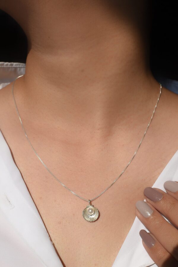 Sea Shell Locket