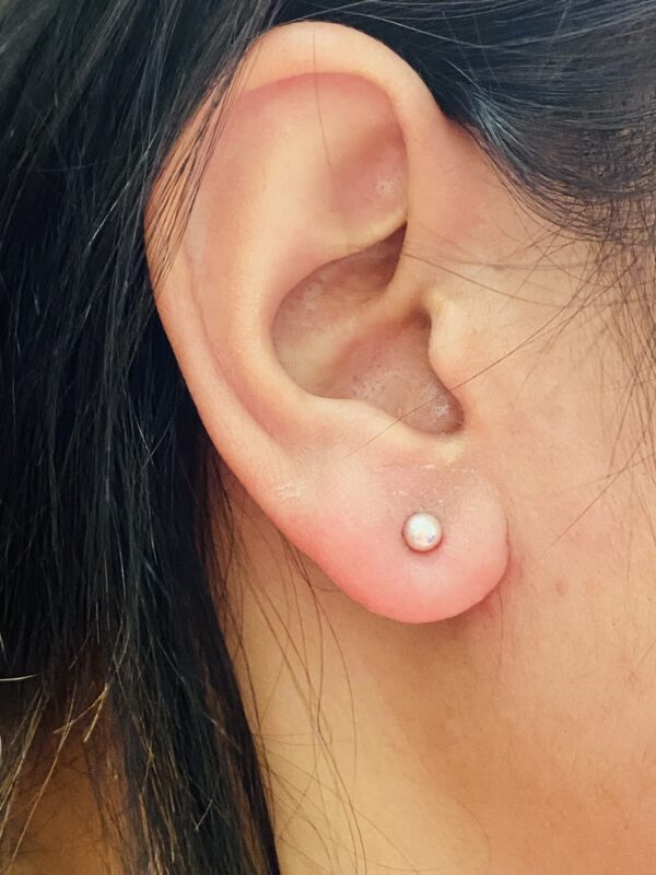 MiniOrb Studs